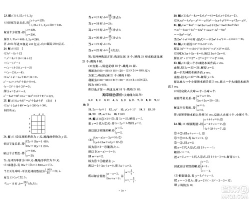 湖南教育出版社2024年春学科素养与能力提升七年级数学下册湘教版答案