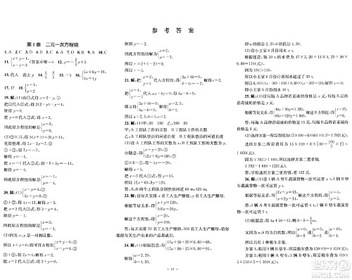 湖南教育出版社2024年春学科素养与能力提升七年级数学下册湘教版答案