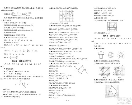 湖南教育出版社2024年春学科素养与能力提升七年级数学下册湘教版答案