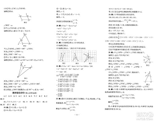 湖南教育出版社2024年春学科素养与能力提升七年级数学下册湘教版答案