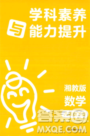 湖南教育出版社2024年春学科素养与能力提升八年级数学下册湘教版答案 湖南教育出版社2024年春学科素养与能力提升八年级数学下册湘教版答案
