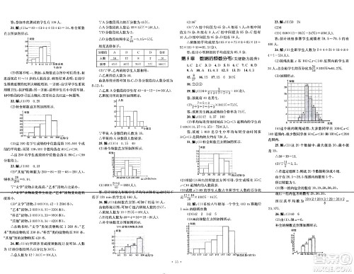 湖南教育出版社2024年春学科素养与能力提升八年级数学下册湘教版答案