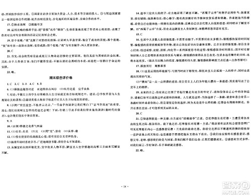 湖南教育出版社2024年春学科素养与能力提升七年级语文下册人教版答案