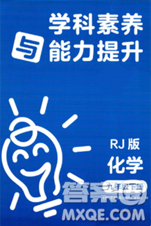 湖南教育出版社2024年春学科素养与能力提升九年级化学下册人教版答案