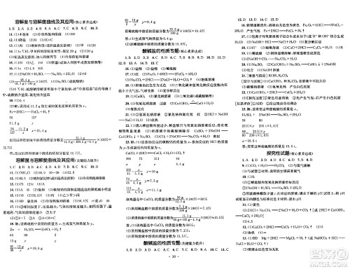 湖南教育出版社2024年春学科素养与能力提升九年级化学下册人教版答案