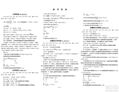 湖南教育出版社2024年春学科素养与能力提升九年级化学下册人教版答案