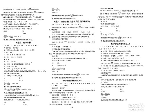 湖南教育出版社2024年春学科素养与能力提升九年级化学下册人教版答案 湖南教育出版社2024年春学科素养与能力提升九年级化学下册人教版答案