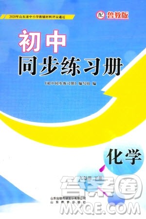 山东教育出版社2024年春初中同步练习册九年级化学下册鲁教版参考答案 山东教育出版社2024年春初中同步练习册九年级化学下册鲁教版参考答案