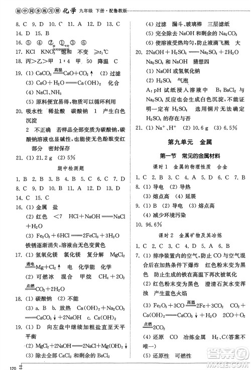 山东教育出版社2024年春初中同步练习册九年级化学下册鲁教版参考答案 山东教育出版社2024年春初中同步练习册九年级化学下册鲁教版参考答案