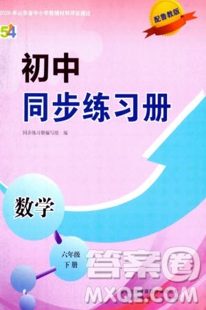 山东科学技术出版社2024年春初中同步练习册六年级数学下册五四制鲁教版参考答案