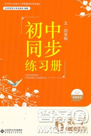 北京师范大学出版社2024年春初中同步练习册六年级数学下册五四制鲁教版参考答案 北京师范大学出版社2024年春初中同步练习册六年级数学下册五四制鲁教版参考答案