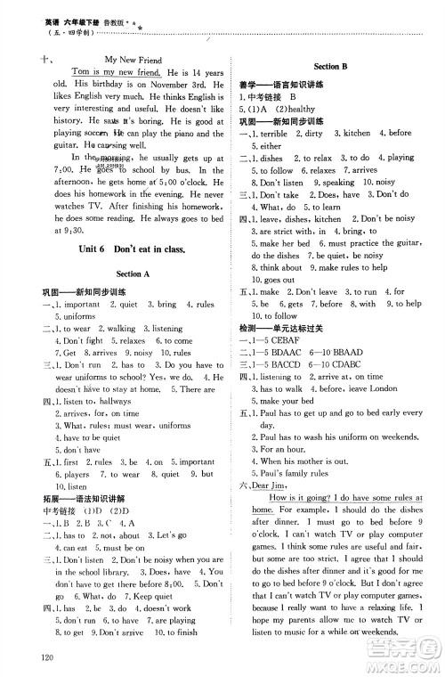 明天出版社2024年春初中同步练习册六年级英语下册五四制鲁教版参考答案 明天出版社2024年春初中同步练习册六年级英语下册五四制鲁教版参考答案
