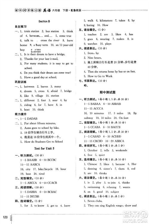 山东教育出版社2024年春初中同步练习册六年级英语下册五四制鲁教版参考答案