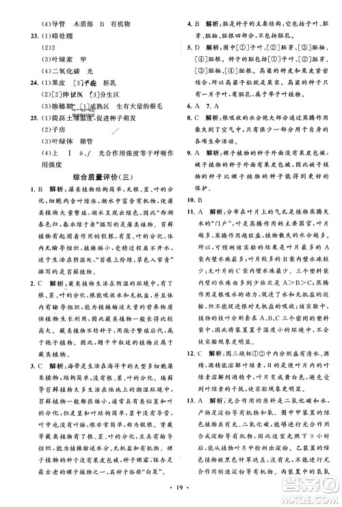 山东教育出版社2024年春初中同步练习册分层卷六年级生物下册五四制鲁科版参考答案