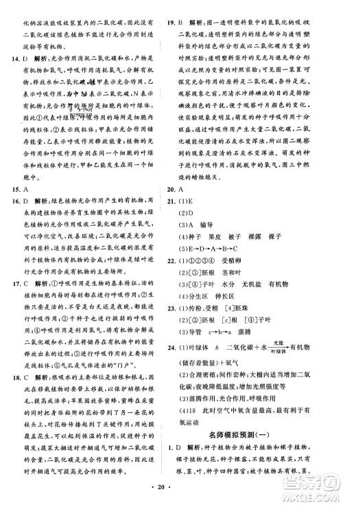 山东教育出版社2024年春初中同步练习册分层卷六年级生物下册五四制鲁科版参考答案