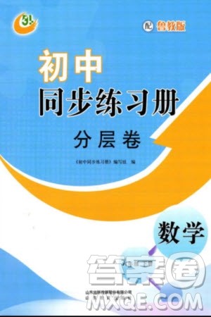 山东教育出版社2024年春初中同步练习册分层卷六年级数学下册五四制鲁教版参考答案