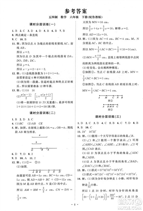 山东教育出版社2024年春初中同步练习册分层卷六年级数学下册五四制鲁教版参考答案