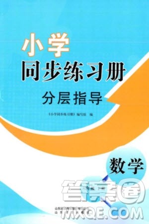 山东教育出版社2024年春小学同步练习册分层指导六年级数学下册通用版参考答案 山东教育出版社2024年春小学同步练习册分层指导六年级数学下册通用版参考答案