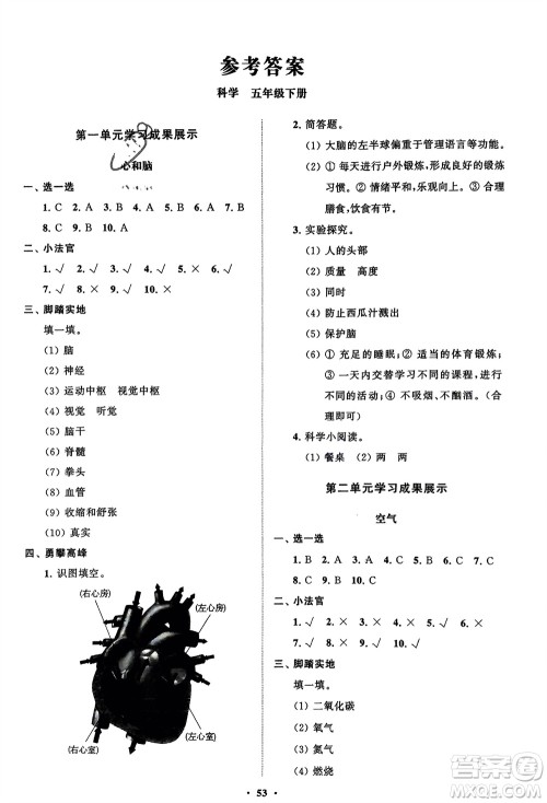 山东教育出版社2024年春小学同步练习册分层指导五年级科学下册通用版参考答案 山东教育出版社2024年春小学同步练习册分层指导五年级科学下册通用版参考答案