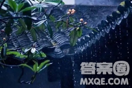 古诗词是必需品还是调味品材料作文800字 关于古诗词是必需品还是调味品的材料作文800字