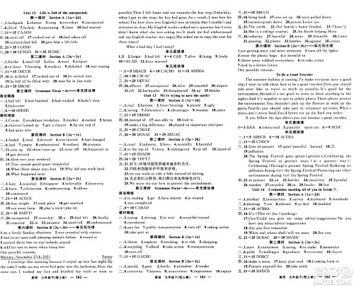 新疆青少年出版社2024年春四清导航九年级英语下册人教版答案 新疆青少年出版社2024年春四清导航九年级英语下册人教版答案