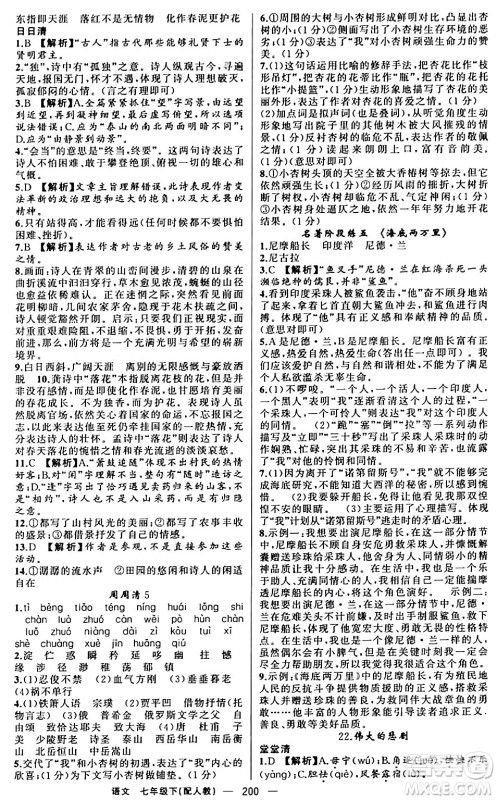 新疆青少年出版社2024年春四清导航七年级语文下册人教版答案