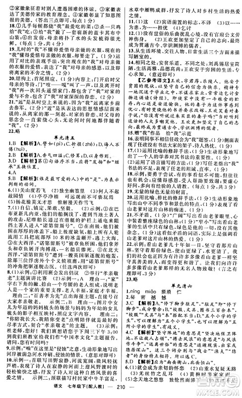 新疆青少年出版社2024年春四清导航七年级语文下册人教版答案