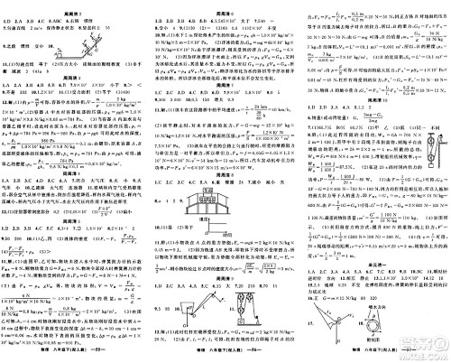 新疆青少年出版社2024年春四清导航八年级物理下册人教版答案 新疆青少年出版社2024年春四清导航八年级物理下册人教版答案