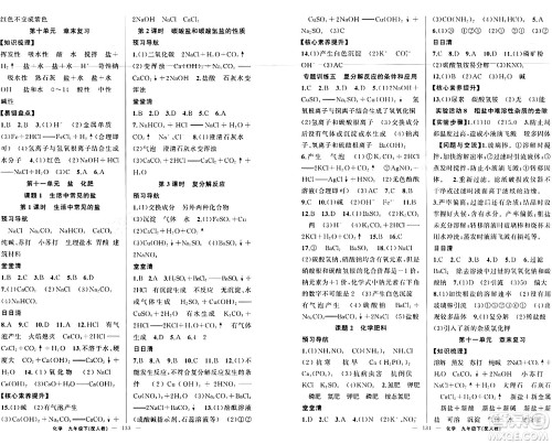 新疆青少年出版社2024年春四清导航九年级化学下册人教版答案