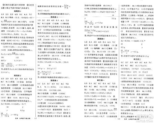 新疆青少年出版社2024年春四清导航九年级化学下册人教版答案
