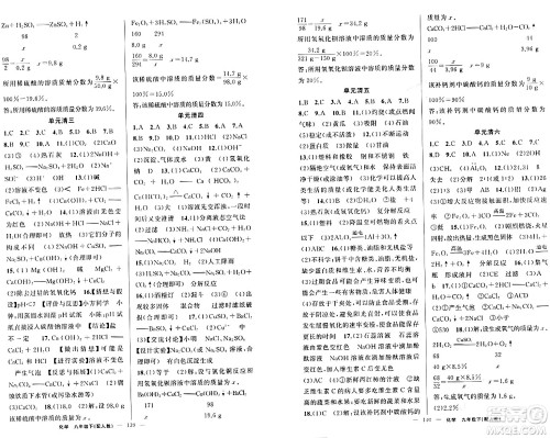 新疆青少年出版社2024年春四清导航九年级化学下册人教版答案