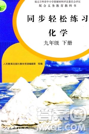 人民教育出版社2024年春同步轻松练习九年级化学下册人教版参考答案