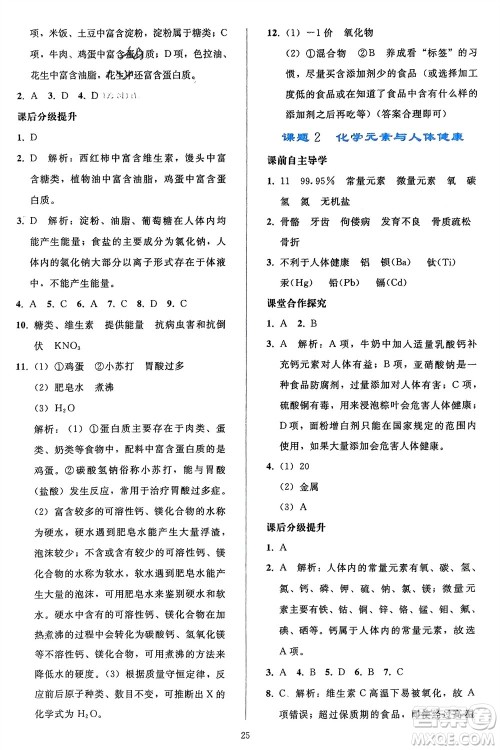 人民教育出版社2024年春同步轻松练习九年级化学下册人教版参考答案