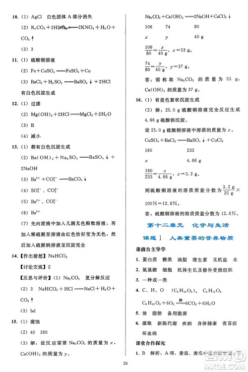 人民教育出版社2024年春同步轻松练习九年级化学下册人教版参考答案