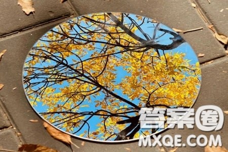 认识一致和见解独到材料作文800字 关于认识一致和见解独到的材料作文800字 认识一致和见解独到材料作文800字 关于认识一致和见解独到的材料作文800字