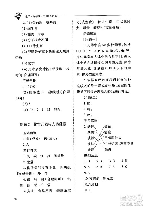 山西教育出版社2024年春新课程问题解决导学方案九年级化学下册人教版答案