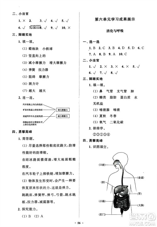 山东教育出版社2024年春小学同步练习册分层指导三年级科学下册通用版参考答案
