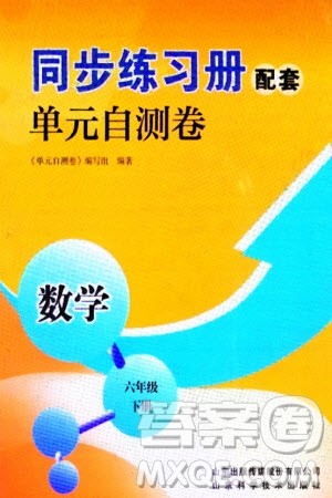 山东科学技术出版社2024年春同步练习册配套单元自测卷六年级数学下册通用版参考答案
