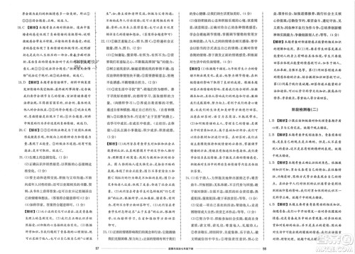山东科学技术出版社2024年春同步练习册配套单元检测卷七年级道德与法治下册通用版参考答案 山东科学技术出版社2024年春同步练习册配套单元检测卷七年级道德与法治下册通用版参考答案