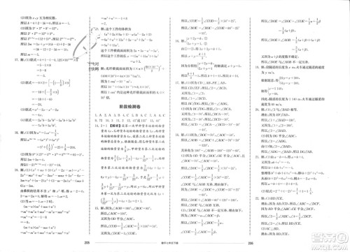 山东科学技术出版社2024年春同步练习册配套单元检测卷七年级数学下册通用版参考答案 山东科学技术出版社2024年春同步练习册配套单元检测卷七年级数学下册通用版参考答案