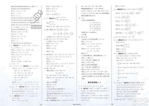 山东科学技术出版社2024年春同步练习册配套单元检测卷七年级数学下册通用版参考答案 山东科学技术出版社2024年春同步练习册配套单元检测卷七年级数学下册通用版参考答案