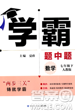 甘肃少年儿童出版社2024年春学霸题中题七年级数学下册人教版答案
