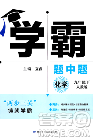 甘肃少年儿童出版社2024年春学霸题中题九年级化学下册人教版答案 甘肃少年儿童出版社2024年春学霸题中题九年级化学下册人教版答案