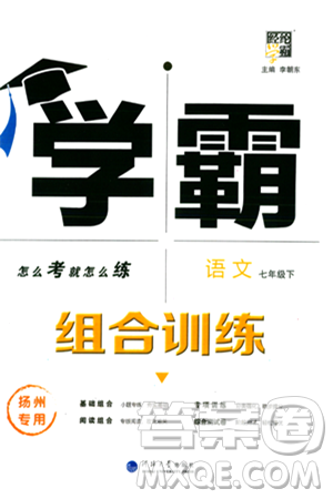 河海大学出版社2024年春经纶学典学霸组合训练七年级语文下册扬州专版答案
