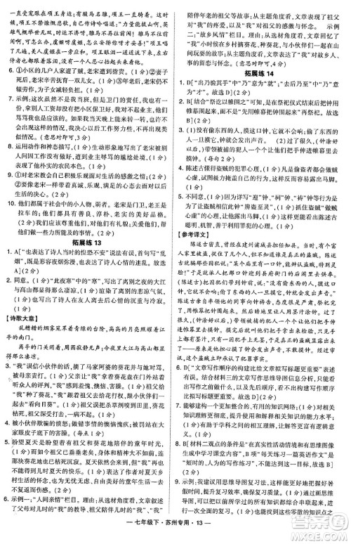 河海大学出版社2024年春经纶学典学霸组合训练七年级语文下册苏州专版答案