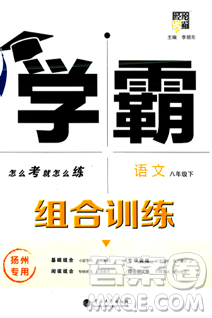 河海大学出版社2024年春经纶学典学霸组合训练八年级语文下册扬州专版答案