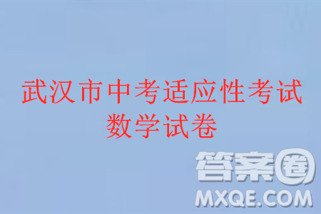 2024年武汉市中考适应性考试数学试卷参考答案