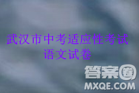 2024年武汉市中考适应性考试语文试卷参考答案