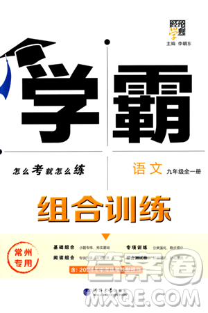 河海大学出版社2024年春经纶学典学霸组合训练九年级语文下册常州专版答案