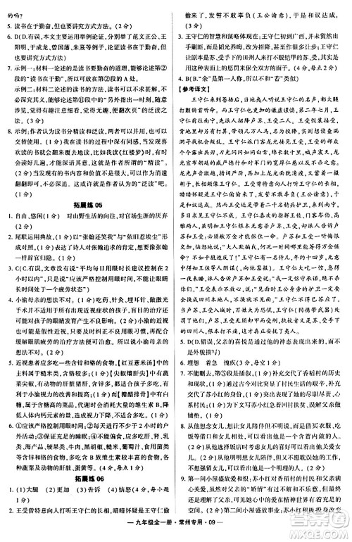 河海大学出版社2024年春经纶学典学霸组合训练九年级语文下册常州专版答案